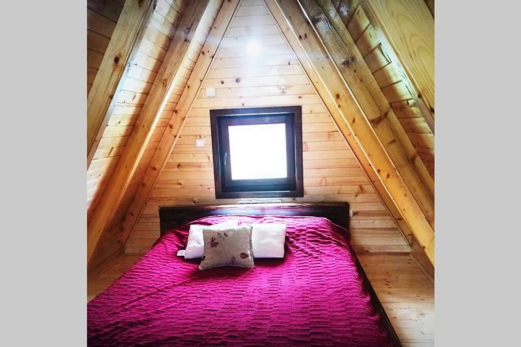 Pinecone Villa Zabljak  Ngoại thất bức ảnh